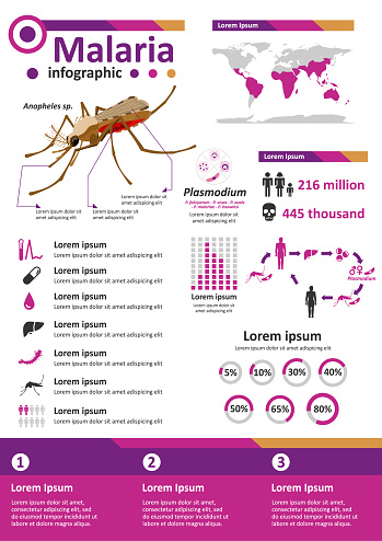 Simple flat style infographics components for health education poster about malaria, infectious disease caused by protozoan Plasmodium that is spread by mosquito vector.