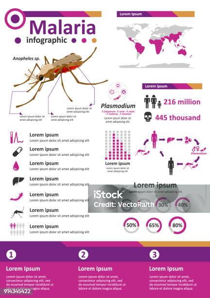 Infectious Disease Infographics Malaria Stock Illustration - Download Image Now - Malaria, Poster, Prevention