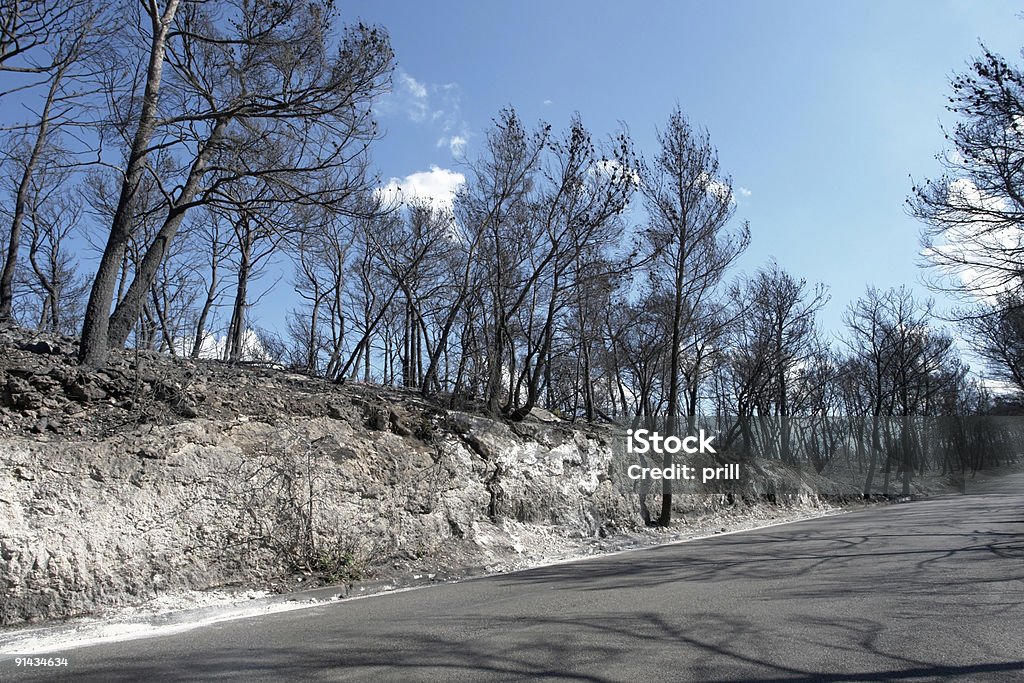 roadside scenery after a forest fire sunny scenery with burned forest and road in Southern Italy Arid Climate Stock Photo