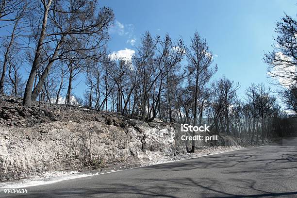 Roadside Scenery After A Forest Fire Stock Photo - Download Image Now - Arid Climate, Ash, Built Structure