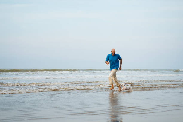 istock Maltese dog and owner running at the beach 914349338