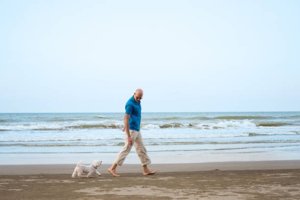 istock Owner with Maltese dog walking at the beach 914349340