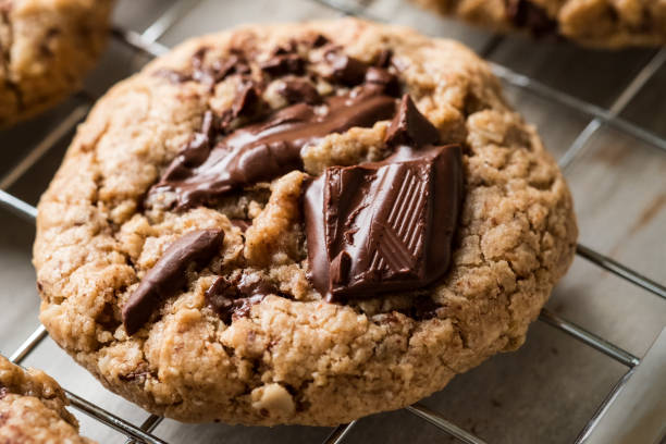 galletas veganas de chocolate saludable, trozos de refrigeración rack, closeup - nobody cookie oat close up fotografías e imágenes de stock