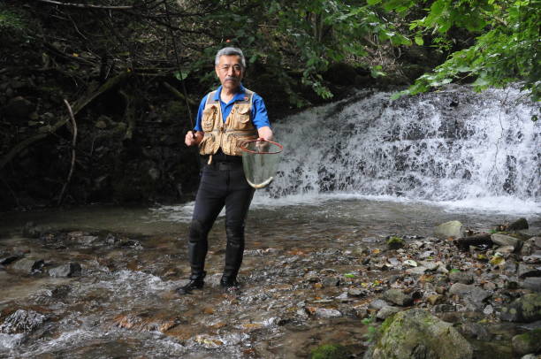 fish on in a basin of waterfall.The fish is Iwana(japanese name).This fish is still alive.