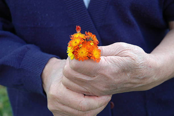 istock Old woman's hand holding flowers 91436009