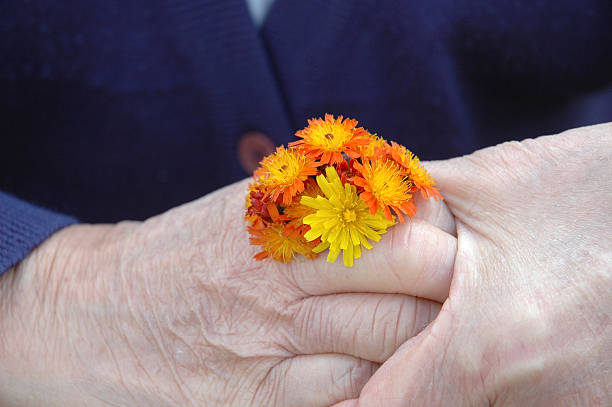 istock Old woman's hand holding flowers 91436010