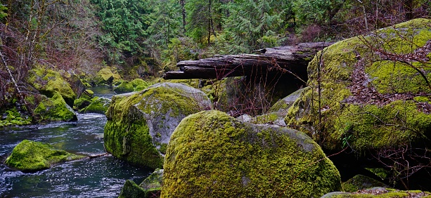 Southern Oregon's Cascade Range.