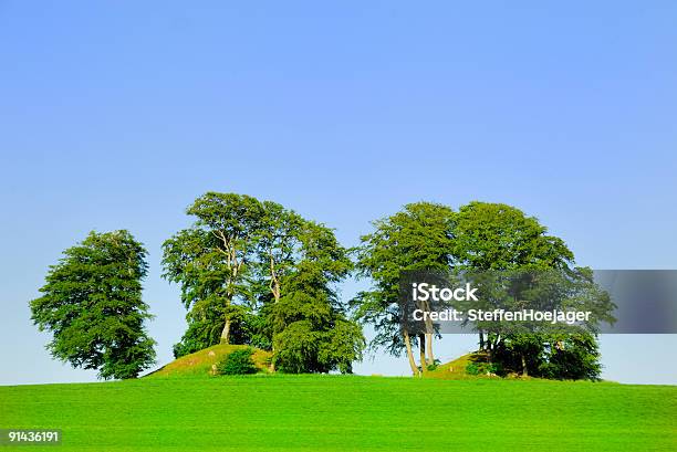 Com A Morte Mounds - Fotografias de stock e mais imagens de Dinamarca - Dinamarca, Mamoa, Amontoar