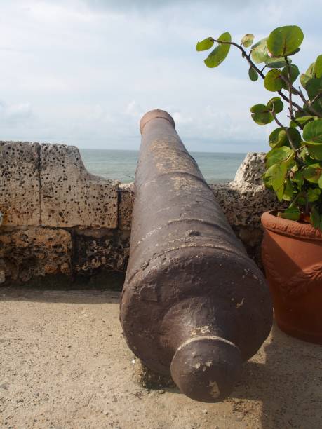 istock Canons of the Wall 914367908