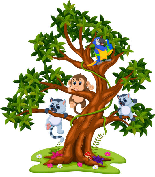 illustrations, cliparts, dessins animés et icônes de bébé mignon animal sur l’arbre - monkey tropical rainforest tree cartoon