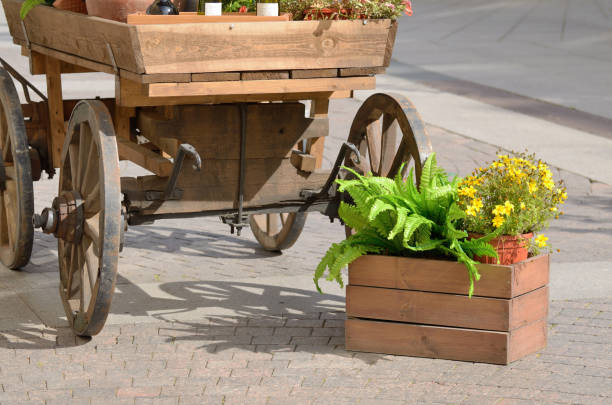 istock Horse-drawn wagon on a city street. 914372432