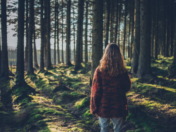 Young woman in the forest at sunset stock photo