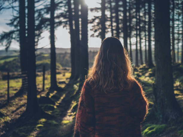 istock Young woman in the forest at sunset 914379636