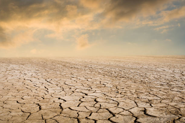 구름과 일몰 하늘에 대 가뭄 토지 - drought landscape global warming environment 뉴스 사진 이미지