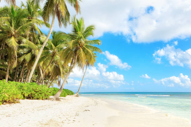 istock Vacation in Dominican Republic 914385588
