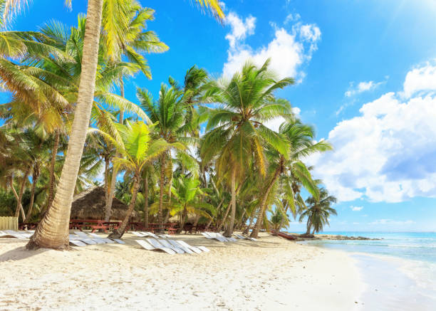 istock Vacation in Dominican Republic 914385638
