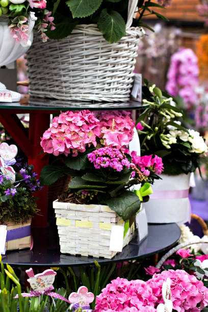 istock A bouquet of beautiful flowers 914390054