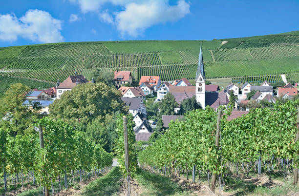 istock Village of Ebringen,Markgraeflerland,Black Forest,Germany 914392934