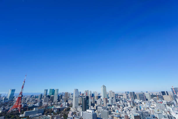 istock Panoramic view of Tokyo, Japan 914395724