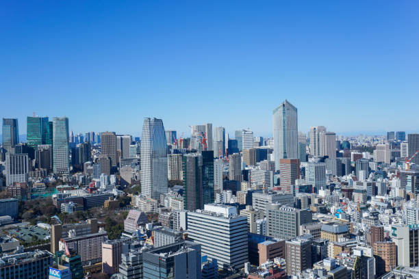 istock Panoramic view of Tokyo, Japan 914395726