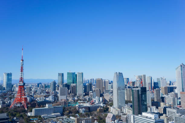 istock Panoramic view of Tokyo, Japan 914395744