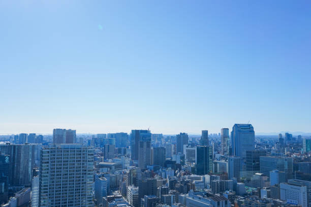 istock Panoramic view of Tokyo, Japan 914395778