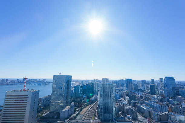 istock Panoramic view of Tokyo, Japan 914395802