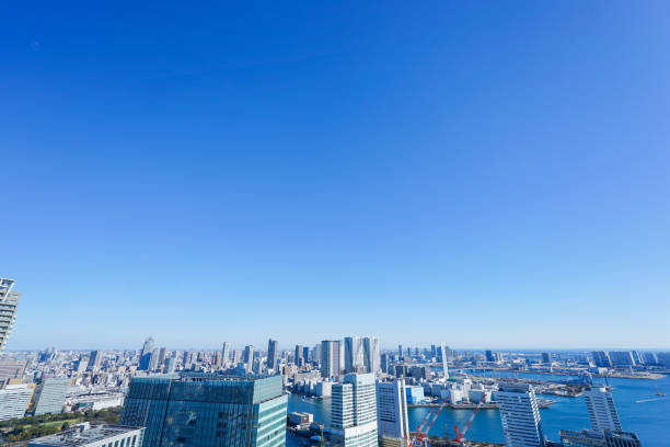 istock Panoramic view of Tokyo, Japan 914395840