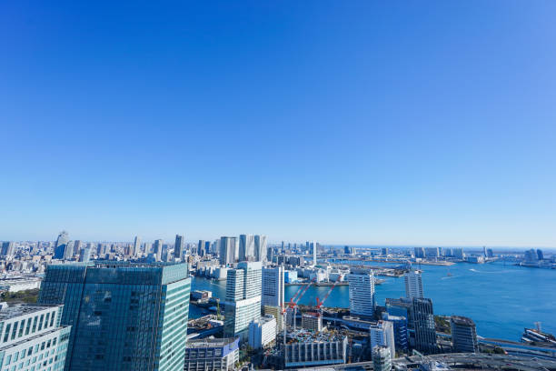 istock Panoramic view of Tokyo, Japan 914395846