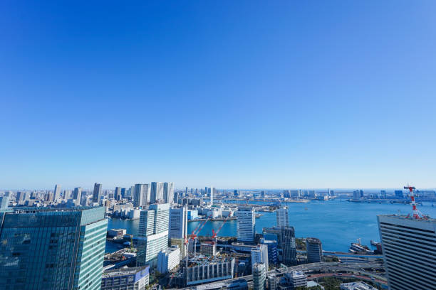 istock Panoramic view of Tokyo, Japan 914395862