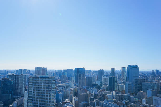 istock Panoramic view of Tokyo, Japan 914395900
