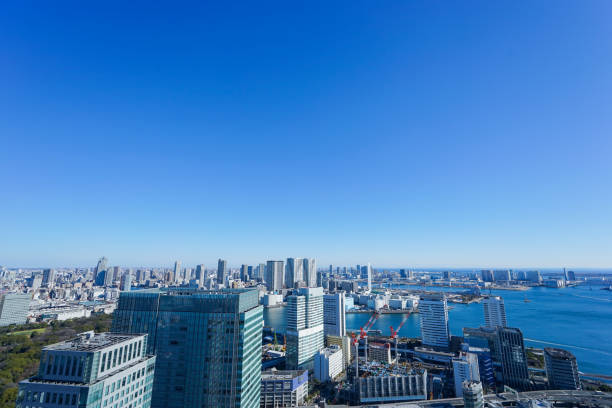 istock Panoramic view of Tokyo, Japan 914395912