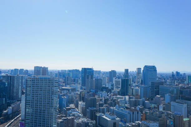 istock Panoramic view of Tokyo, Japan 914395916