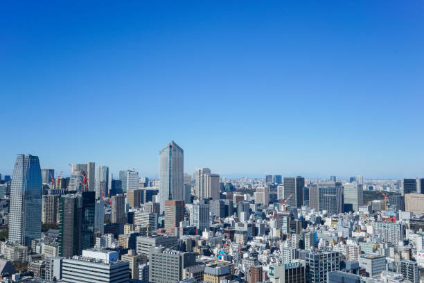 istock Panoramic view of Tokyo, Japan 914396000