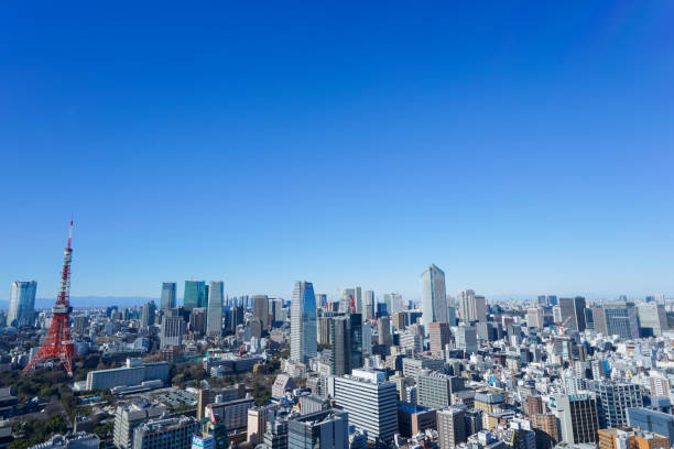 istock Panoramic view of Tokyo, Japan 914396030