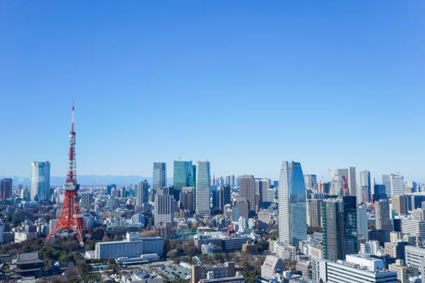 istock Panoramic view of Tokyo, Japan 914396050