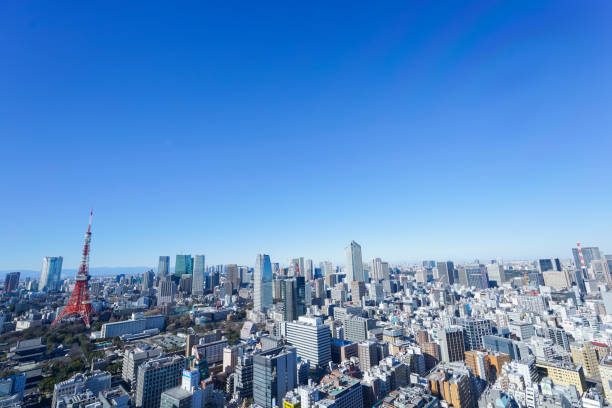 istock Panoramic view of Tokyo, Japan 914396060
