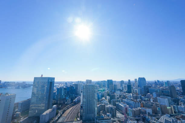 istock Panoramic view of Tokyo, Japan 914396068