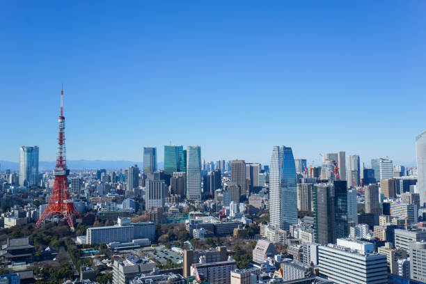 istock Panoramic view of Tokyo, Japan 914396082