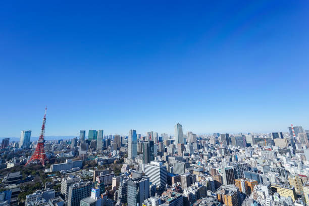 istock Panoramic view of Tokyo, Japan 914396098