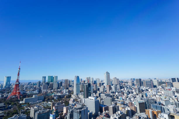 istock Panoramic view of Tokyo, Japan 914396116