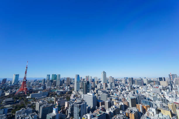 istock Panoramic view of Tokyo, Japan 914396118