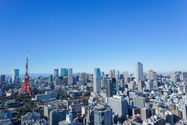 istock Panoramic view of Tokyo, Japan 914396126