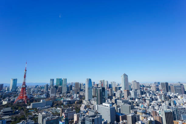 istock Panoramic view of Tokyo, Japan 914396146