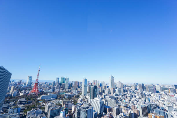 istock Panoramic view of Tokyo, Japan 914396150