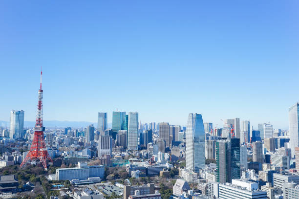 istock Panoramic view of Tokyo, Japan 914396152