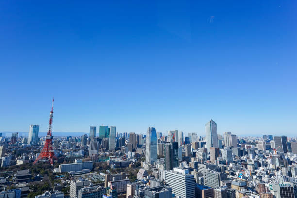 istock Panoramic view of Tokyo, Japan 914396156