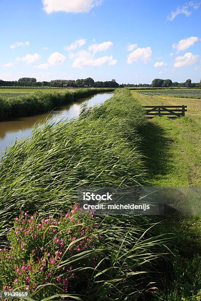 Foto de Paisagem Holandesa e mais fotos de stock de Agricultura - Agricultura, Ajardinado, Ambiente vegetal