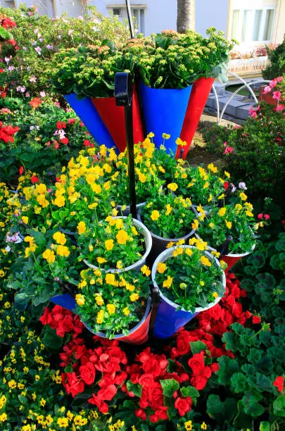 Photo of Flower decoration on street & wall