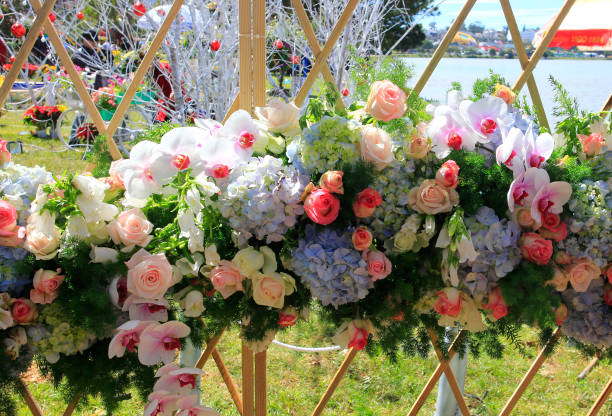 istock Flower decoration on street & wall 914399504